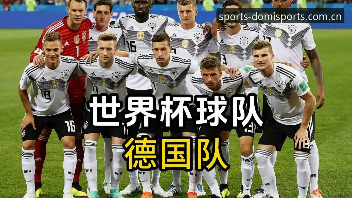 德国队世界杯名单新老交替 vs 多米体育平台观赛全体验：诺伊尔回归与卡尔入选的深度解析